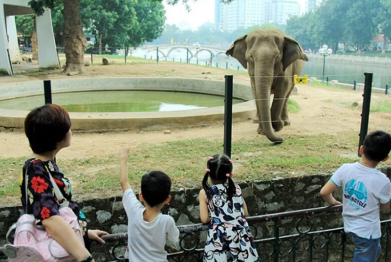 Khám phá vườn thú Hà Nội (hình 1)