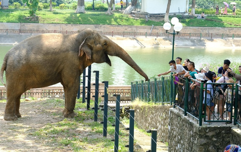 Khám phá vườn thú Hà Nội (hình 2)