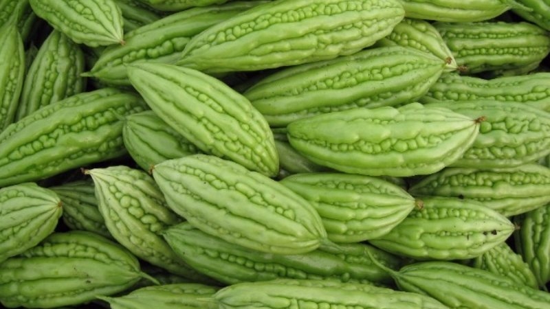 Khổ qua bao nhiêu calo - hình 4