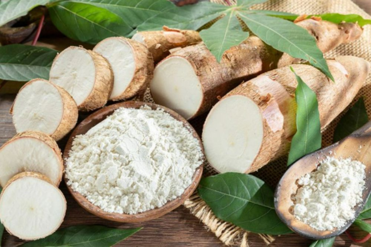 khoai mì để tủ lạnh được không 1