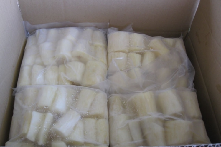 khoai mì để tủ lạnh được không 4