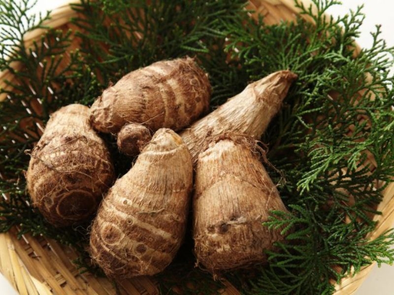 Tác dụng của khoai sọ