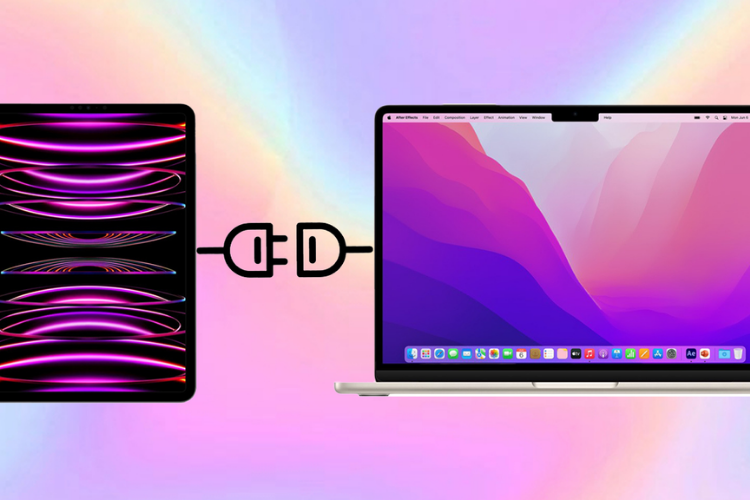 Khôi phục iPad hình 5