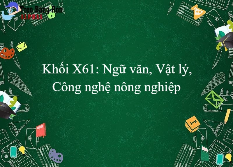 Khối X61 gồm những ngành nào? Trường nào 1