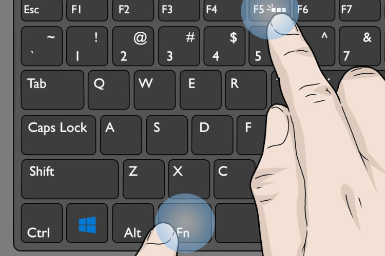 Không bật được đèn bàn phím laptop Dell hình 2