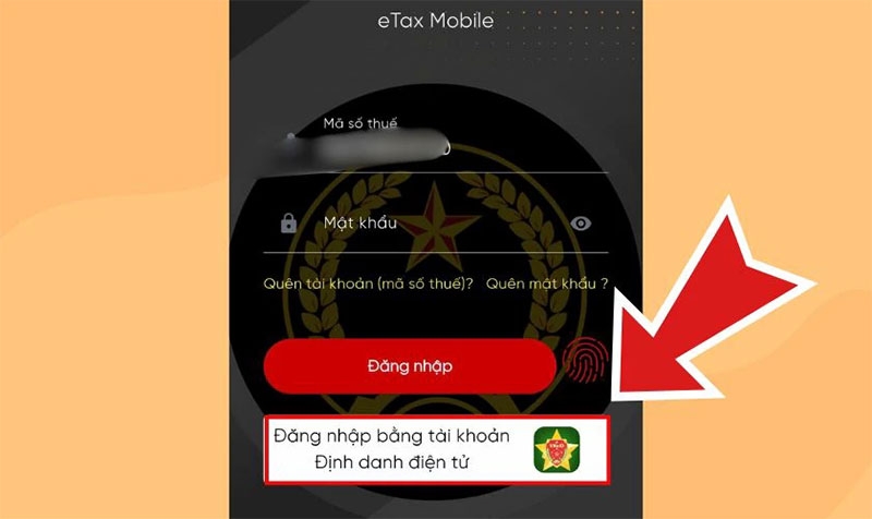 Không đăng nhập được eTax Mobile hình 4