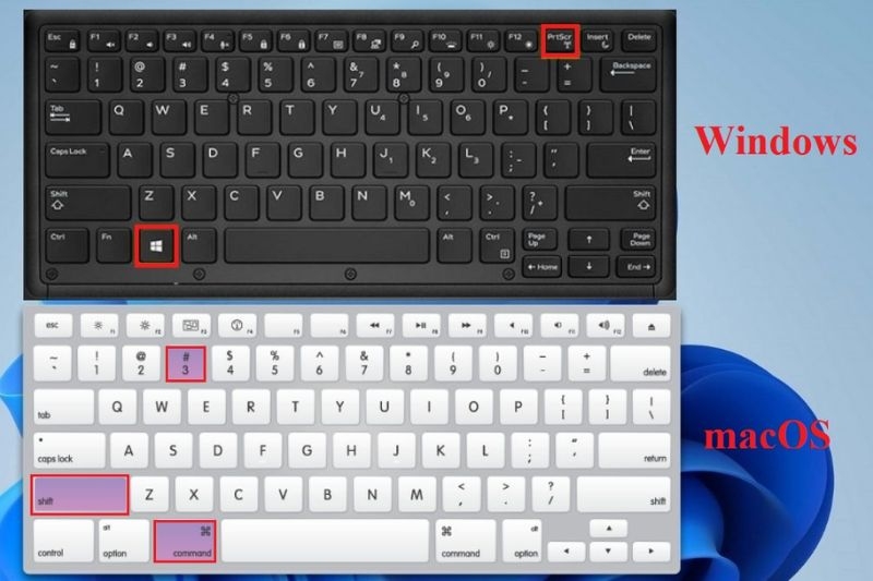 không tìm thấy ảnh chụp màn hình máy tính ảnh 7
