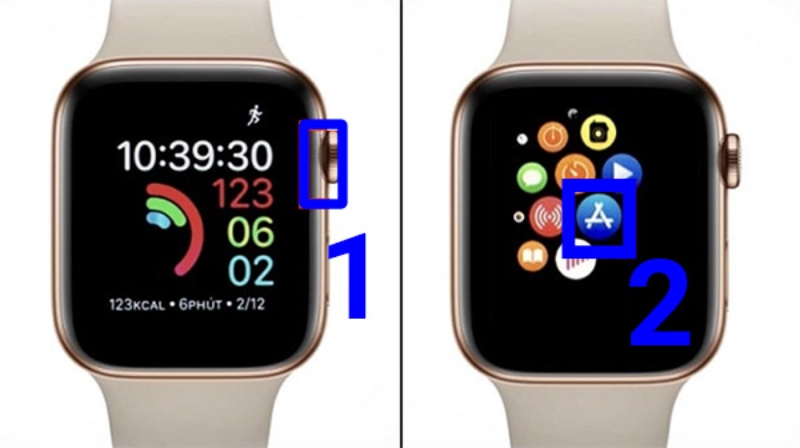 Không tìm thấy Zalo trên Apple Watch (ảnh 4)