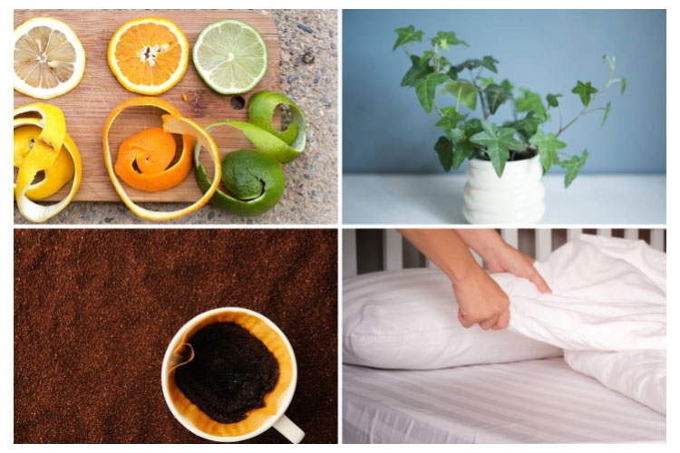 9 mẹo khử mùi thuốc lá trong phòng kín dễ chịu, hiệu quả mà bạn không nên bỏ qua