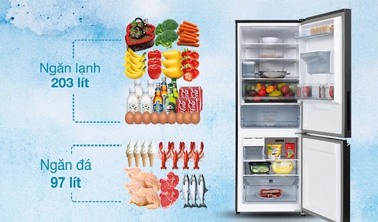 Kích thước tủ lạnh 300 lít (Hình 2)