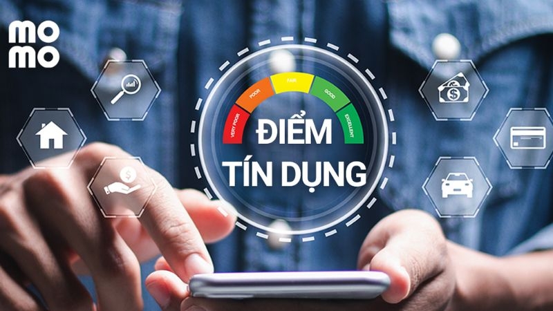 Lưu ý khi kiểm tra CIC trên MoMo