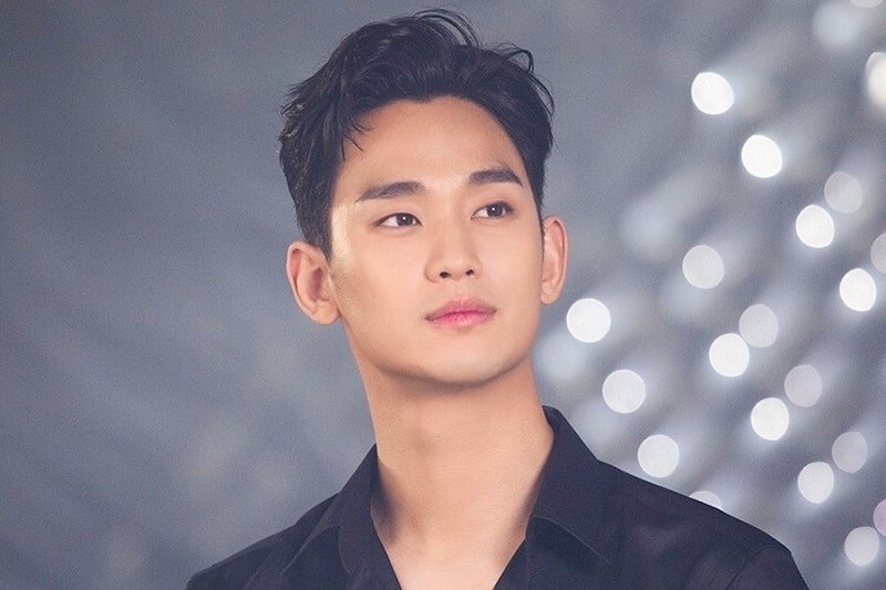 su nghiep kim soo hyun