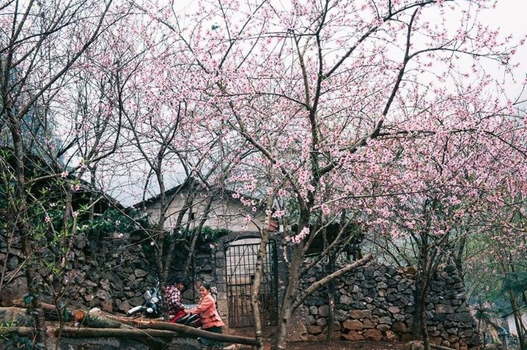 kinh-nghiem-phuot-ha-giang-5.png