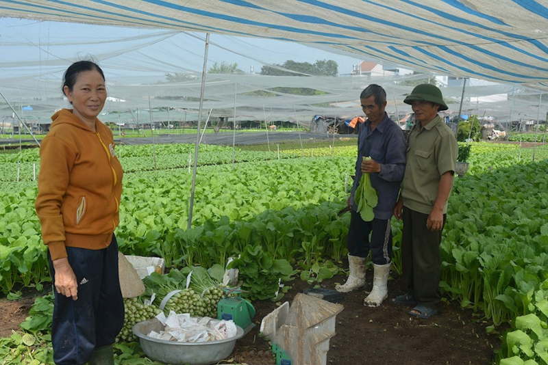 Kinh tế vi mô là gì? (hình 5)