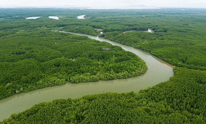 Ký hiệu RPH trên sổ đỏ có nghĩa là gì ? (hình 2)