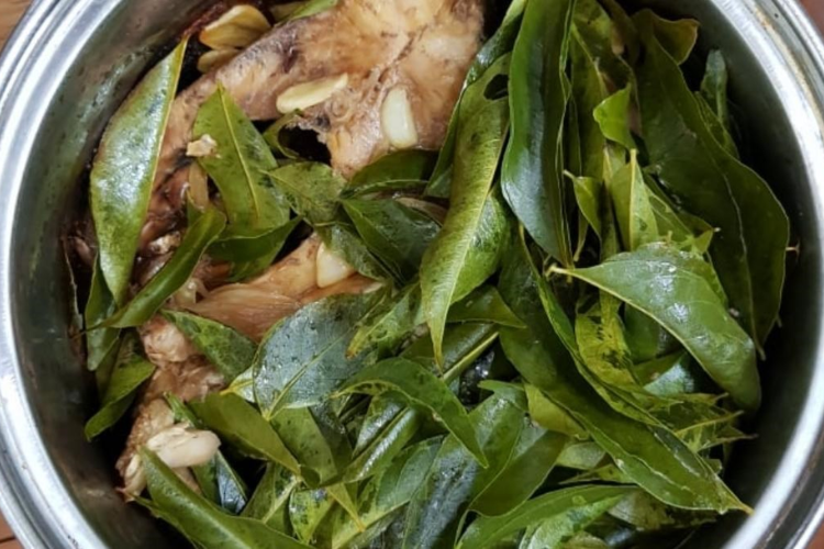 Lá mắc mật 6