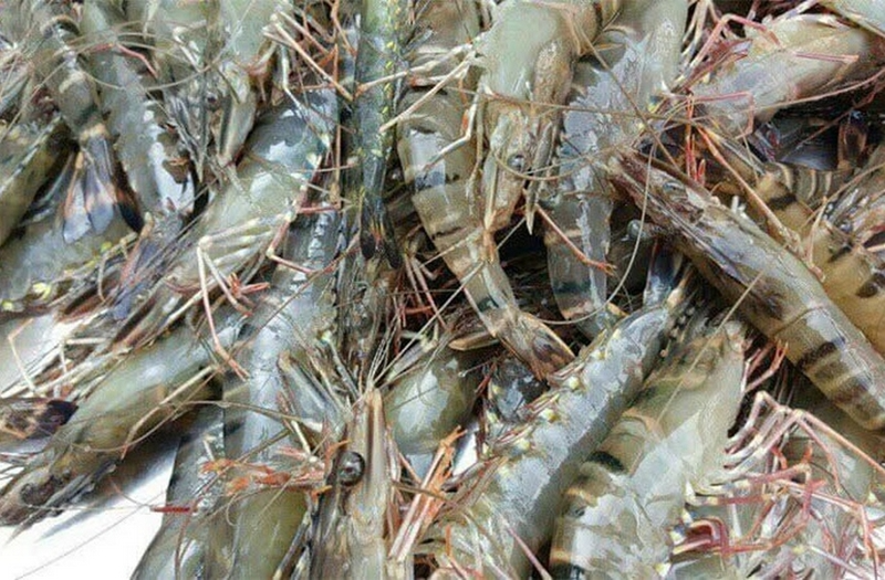 bánh xèo tôm nhảy (hình 2)