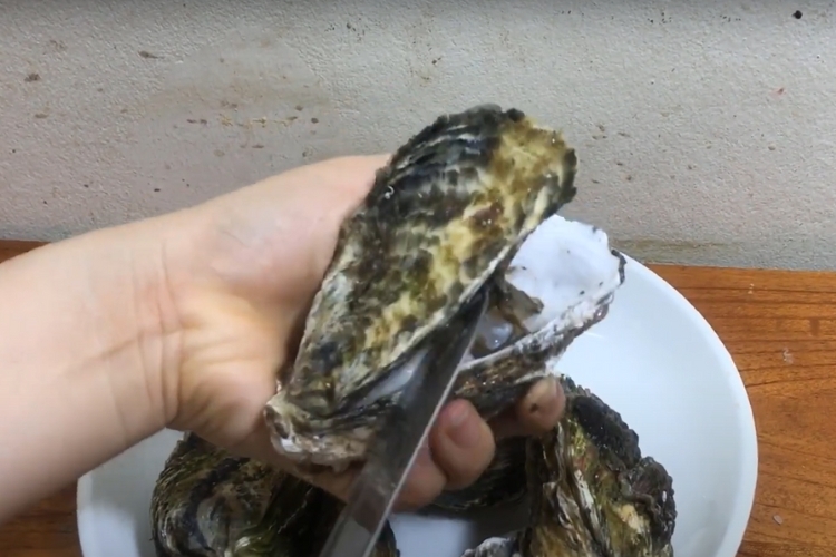Bước 1: Sơ chế hàu sống