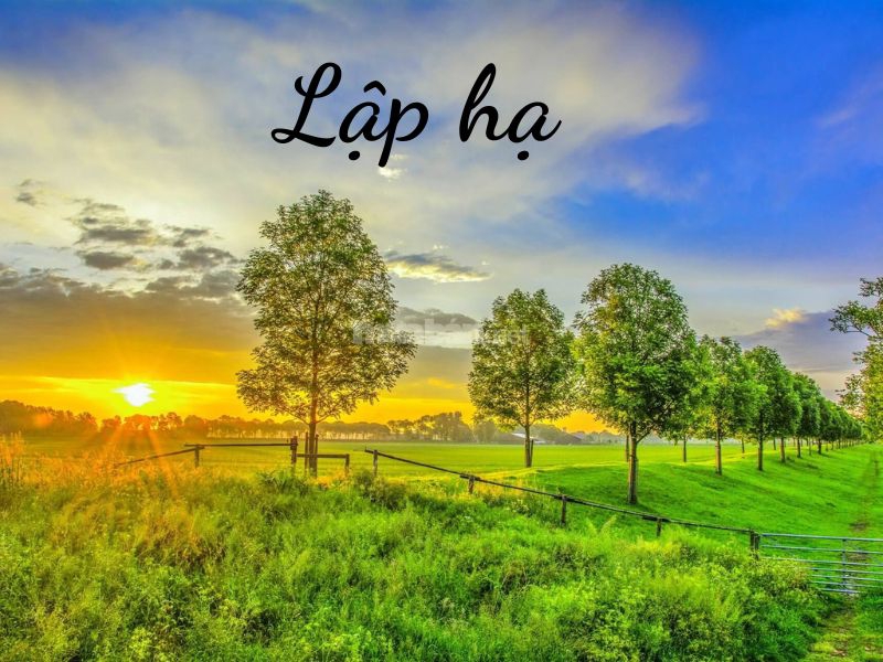 Lập hạ 2026 vào ngày nào (ảnh 2)