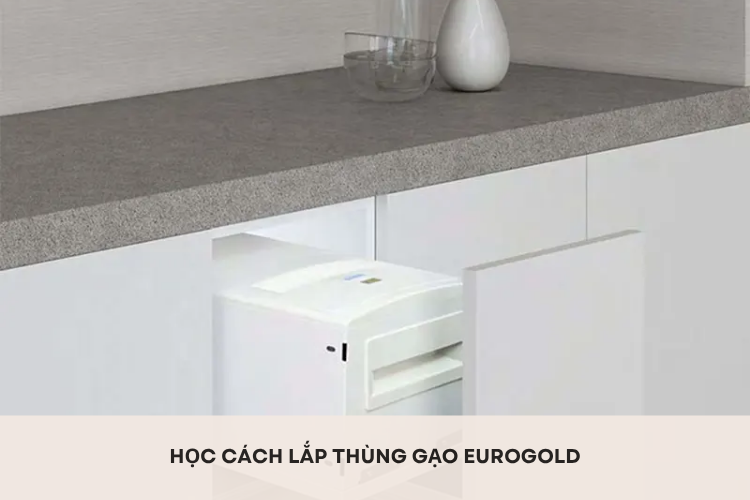 Học cách lắp thùng gạo Eurogold hiệu quả, nhanh chóng để tăng khả năng bảo quản gạo