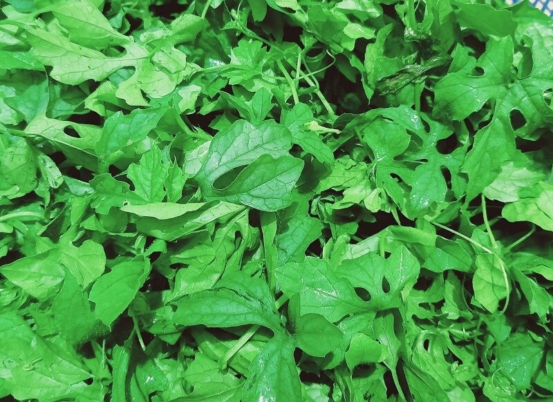 Bò nhúng nước dừa 8