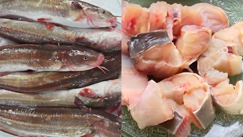 lẩu cá ngát 2