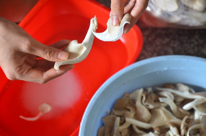lẩu chao chay​ (hình 2)