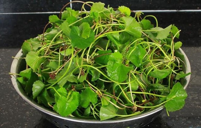 lẩu gân bò 4