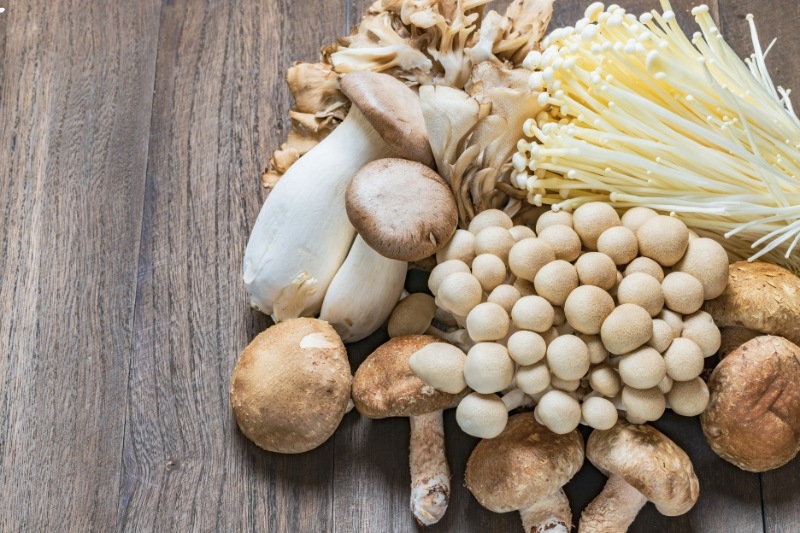 Các loại nấm