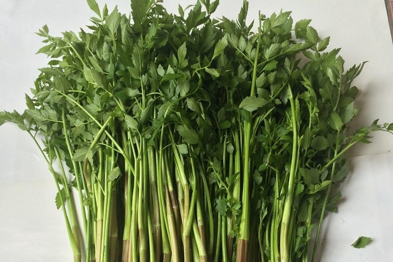 Rau cần nước