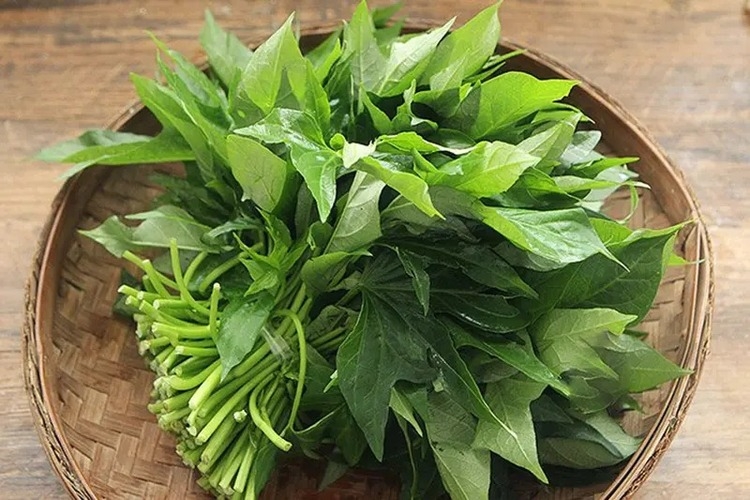 Rau lang kỵ với rau gì? Những kết hợp nên tránh để ăn ngon và tốt cho sức khỏe