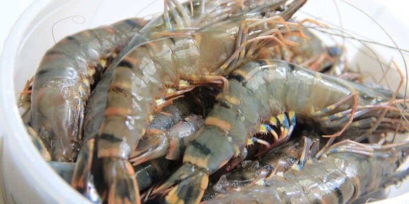 lẩu mắm hải sản (ảnh 10)