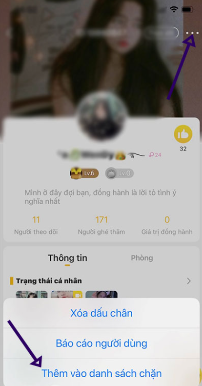 chan nguoi dung lemo