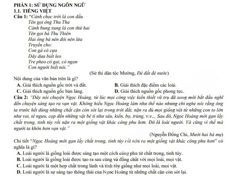 Sử dụng ngôn ngữ: