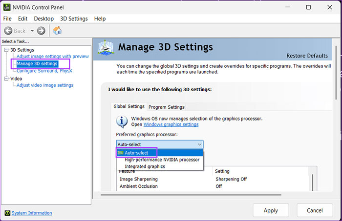 Lightshot không hoạt động trên Windows 6