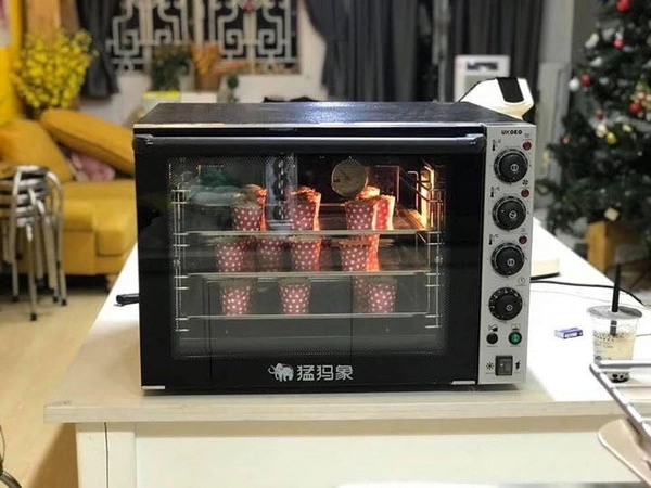 lò nướng đối lưu loại nào tốt (hình 7)