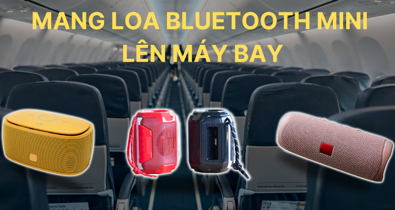Loa có cho vào hành lý ký gửi được không - hình 1