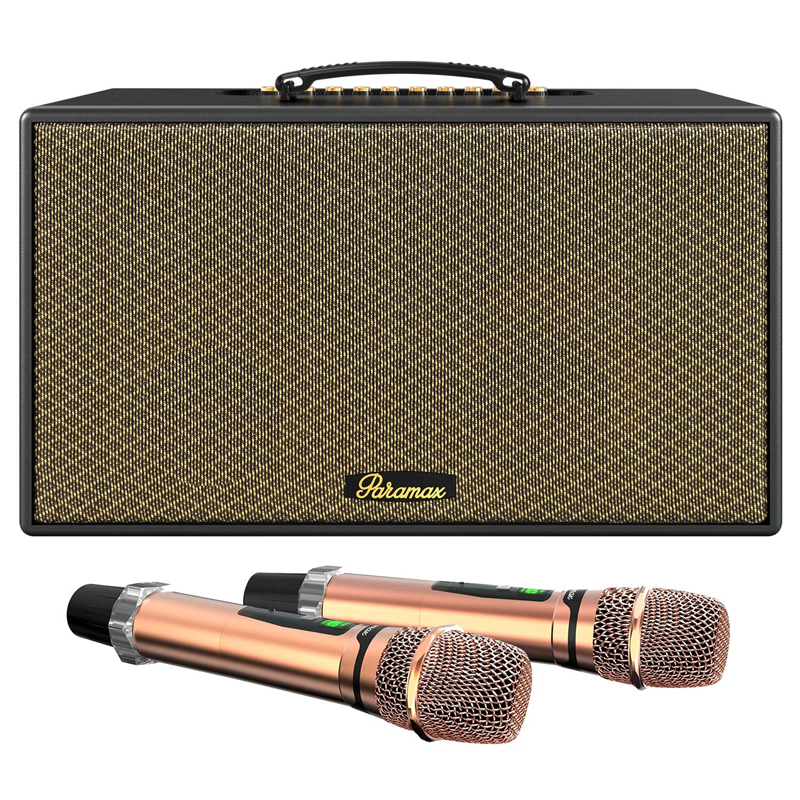 Loa Karaoke xách tay Paramax Aura