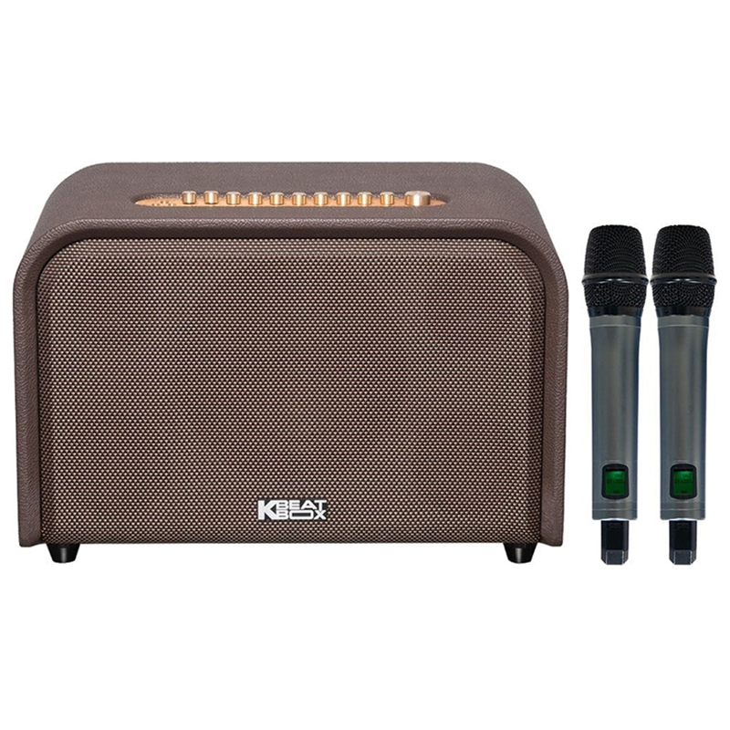 Loa Karaoke Xách Tay Soncamedia Acoustic 3 Compact