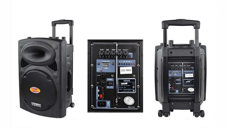 Loa liền công suất (Hình 2)