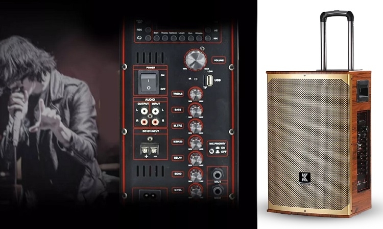 Loa liền công suất (Hình 8)