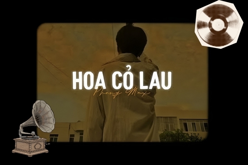 Lời bài hát Hoa cỏ lau 1