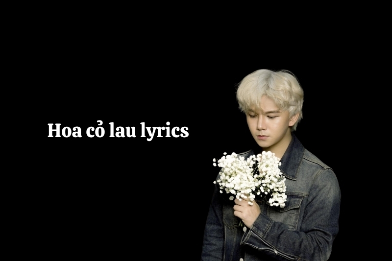 Lời bài hát Hoa cỏ lau 3