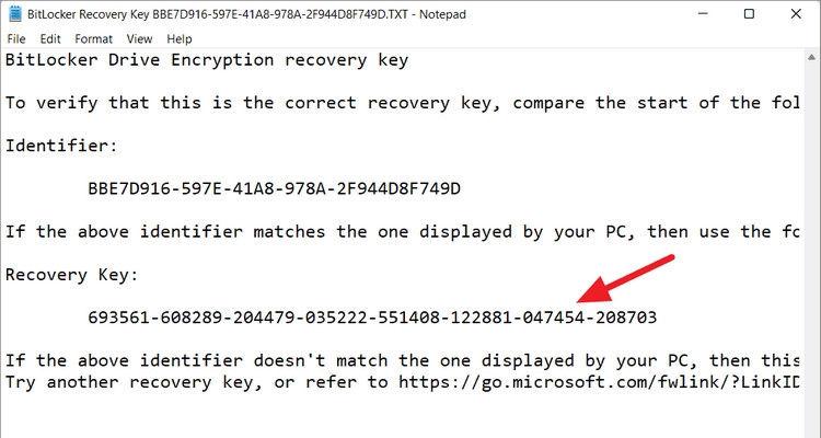 Lỗi Bitlocker Recovery Win 11 - ảnh 13