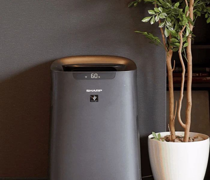 Lỗi C8 m&aacute;y lọc kh&ocirc;ng kh&iacute; Sharp 3