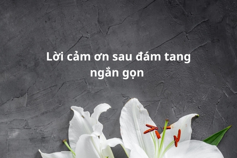Lời cảm ơn sau đám tang 3