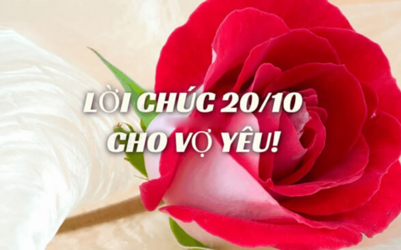 Tổng hợp lời chúc 20/10 cho vợ hay 2025 (hình 1)