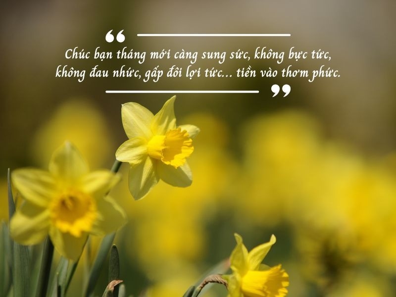 lời chúc mùng 1 đầu tháng cho dân kinh doanh 6
