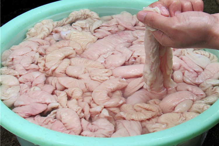 Lòng già hình 5