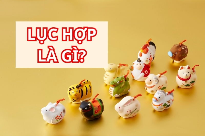 Lục hợp là gì 1